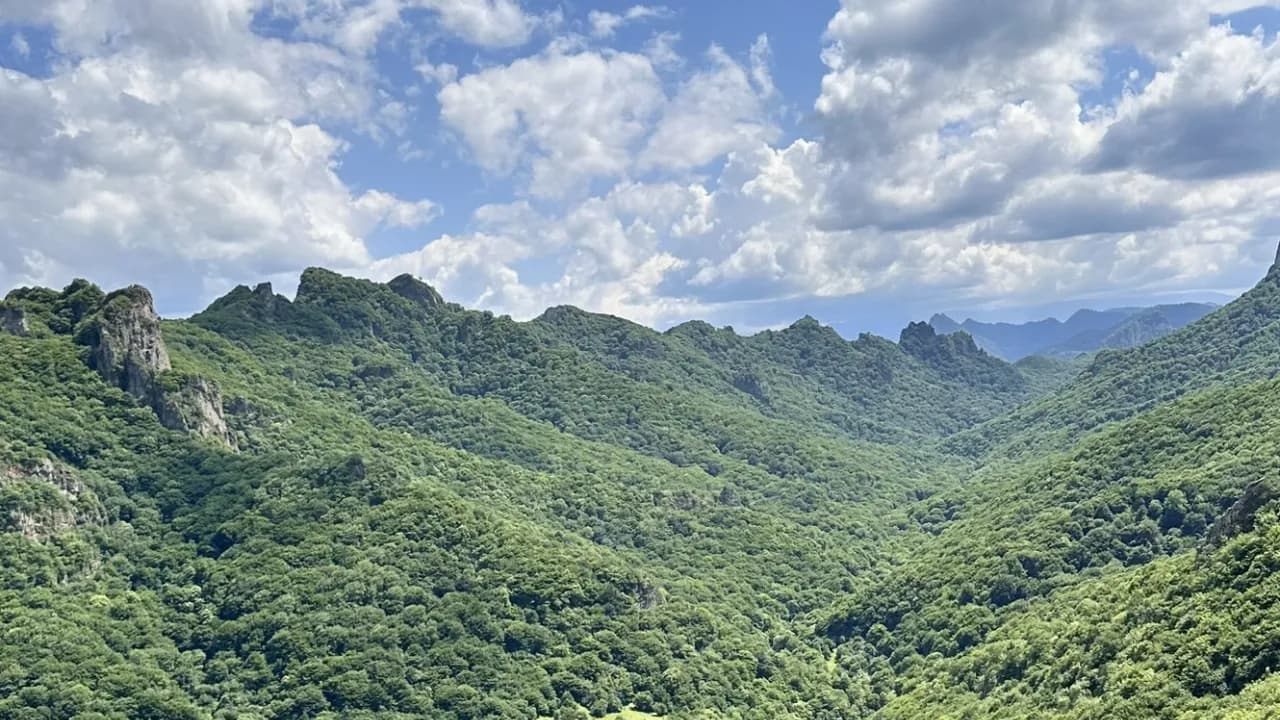 Изображение услуги1