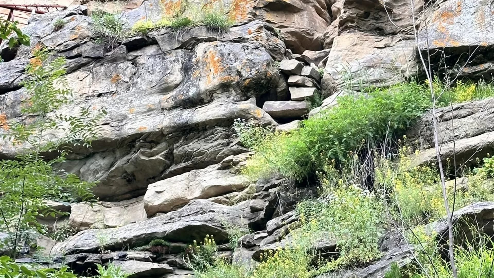 Изображение услуги6