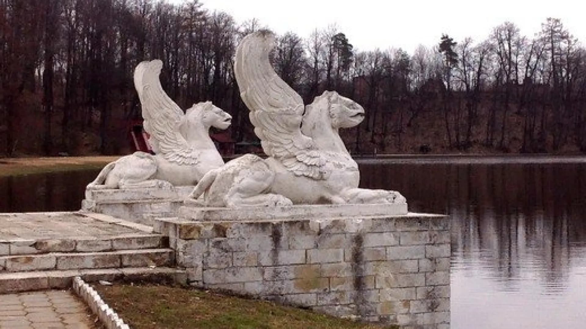 Изображение услуги3