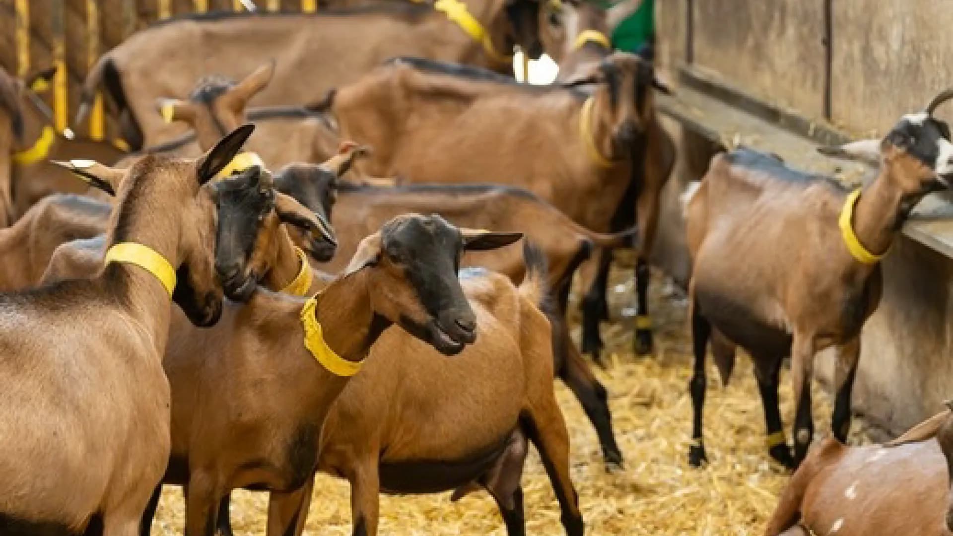 Изображение услуги7