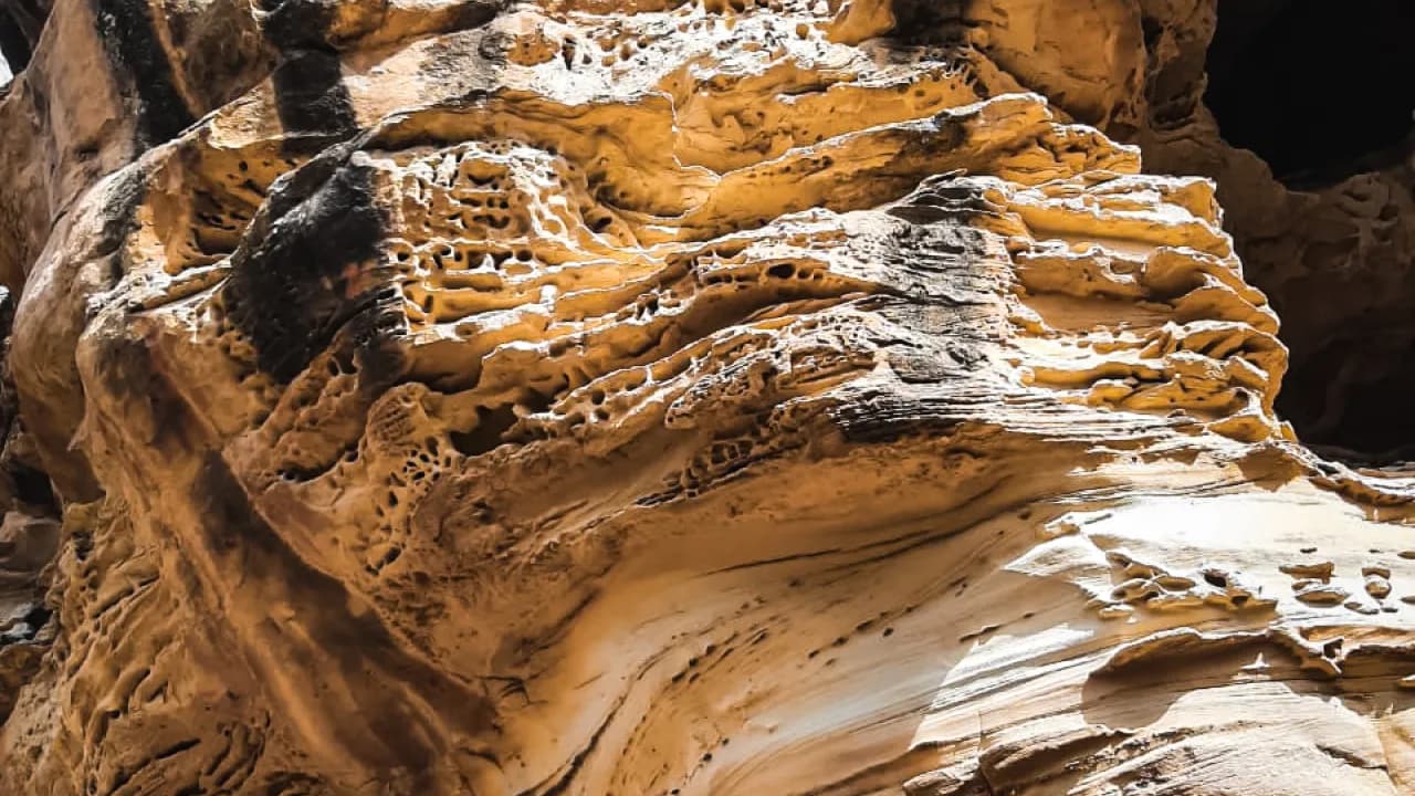 Изображение услуги8