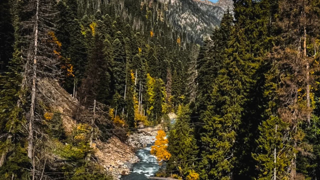 Изображение услуги12