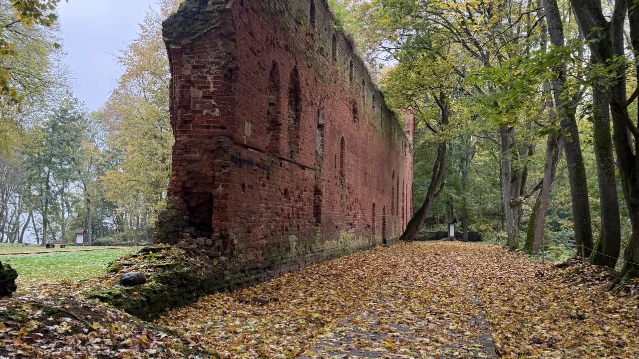 Изображение услуги3