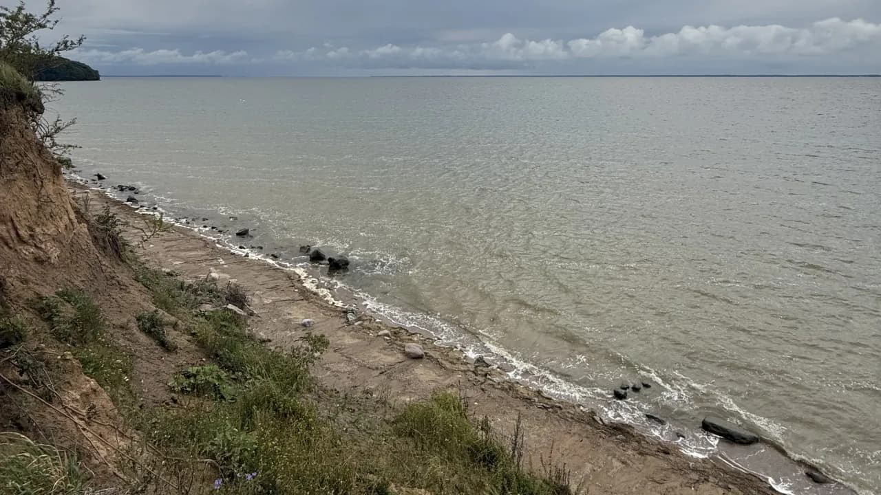 Изображение услуги5