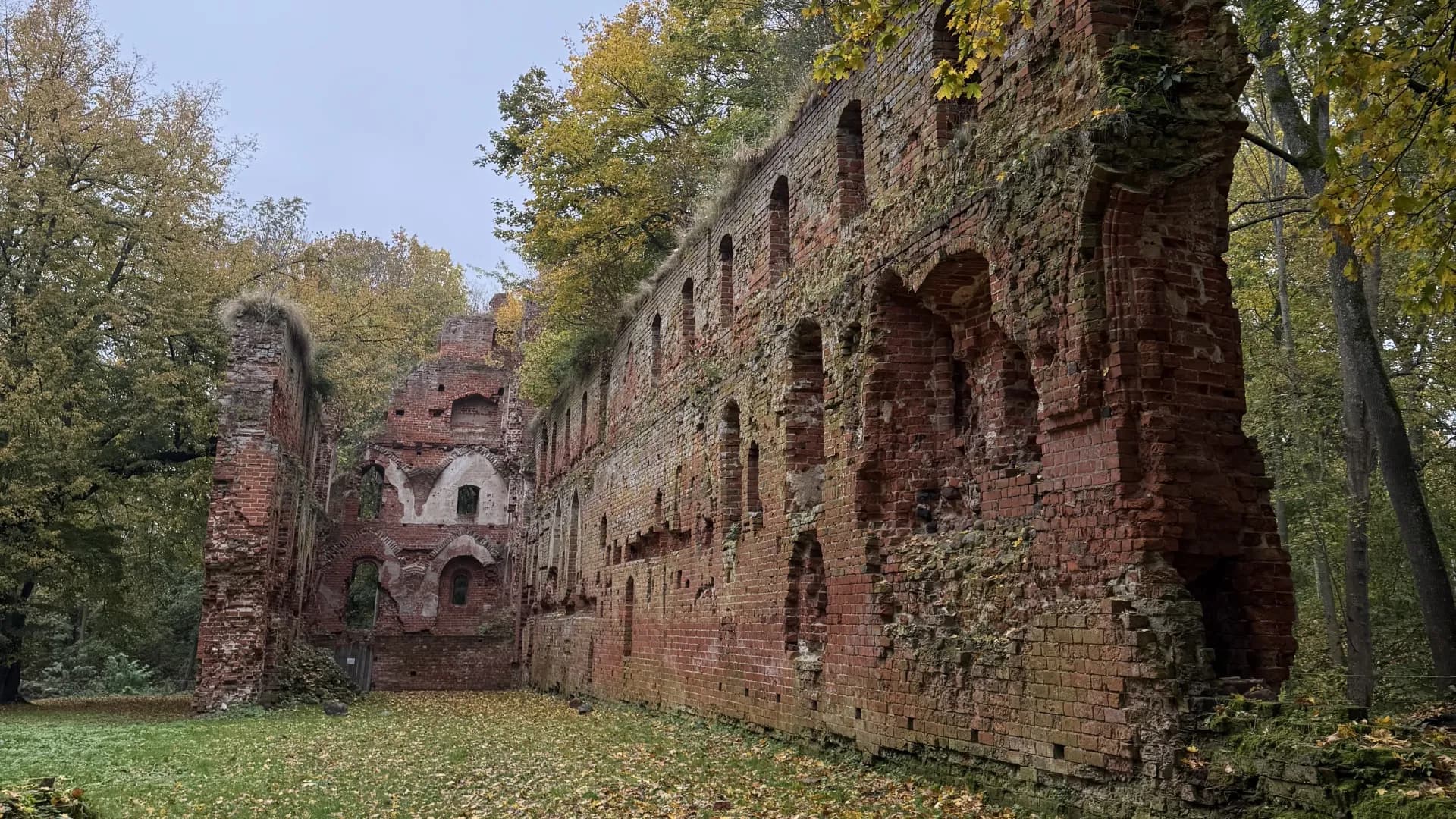 Изображение услуги8