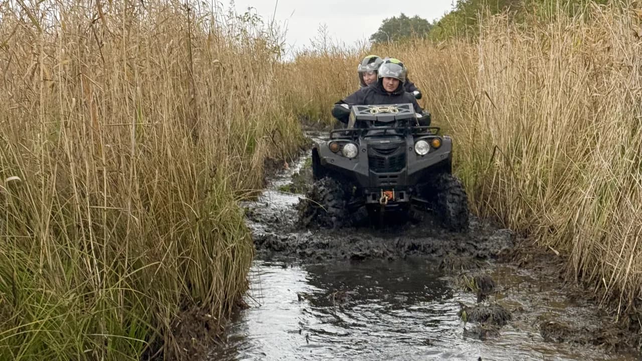 Изображение услуги5