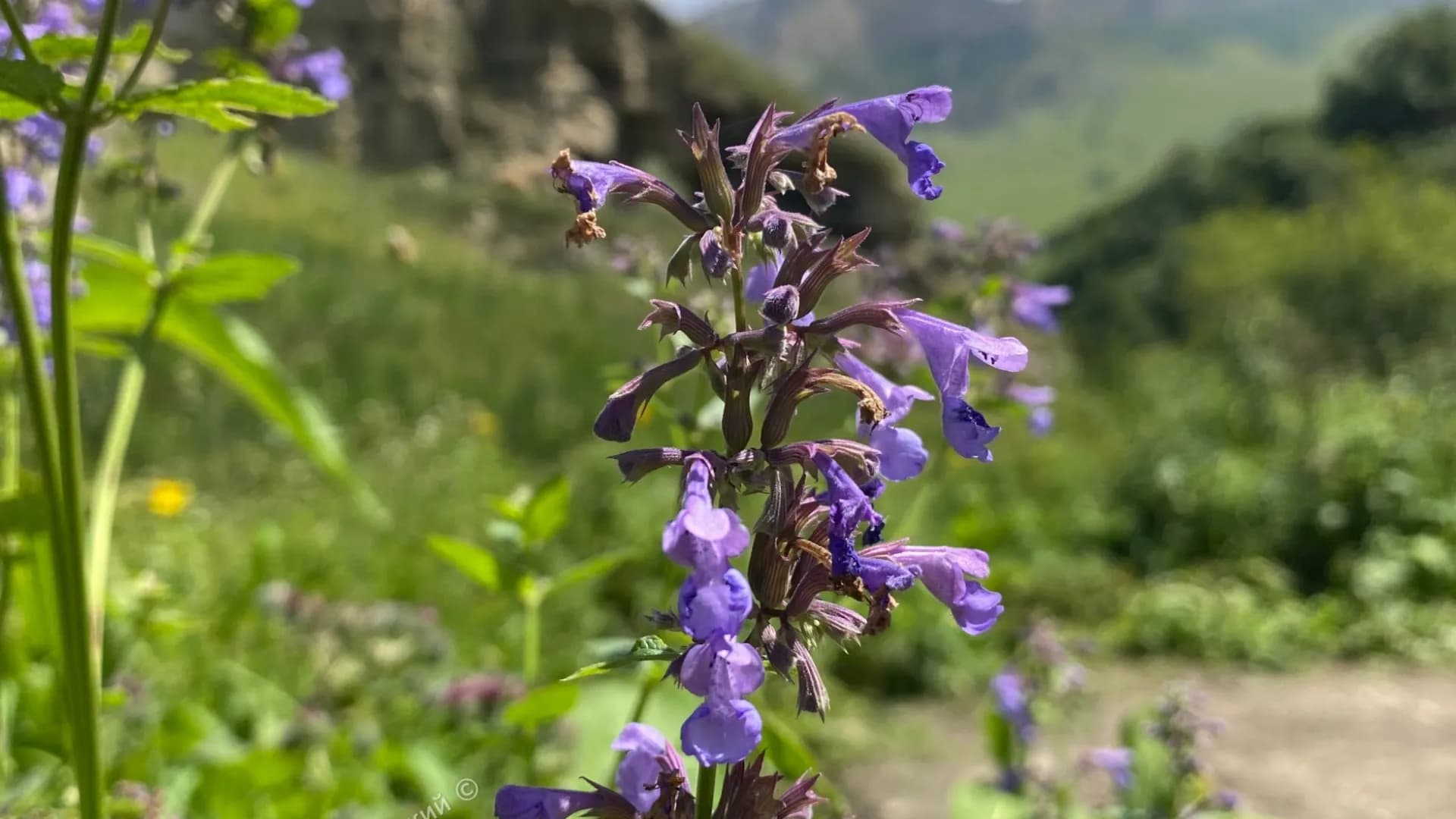 Изображение услуги7