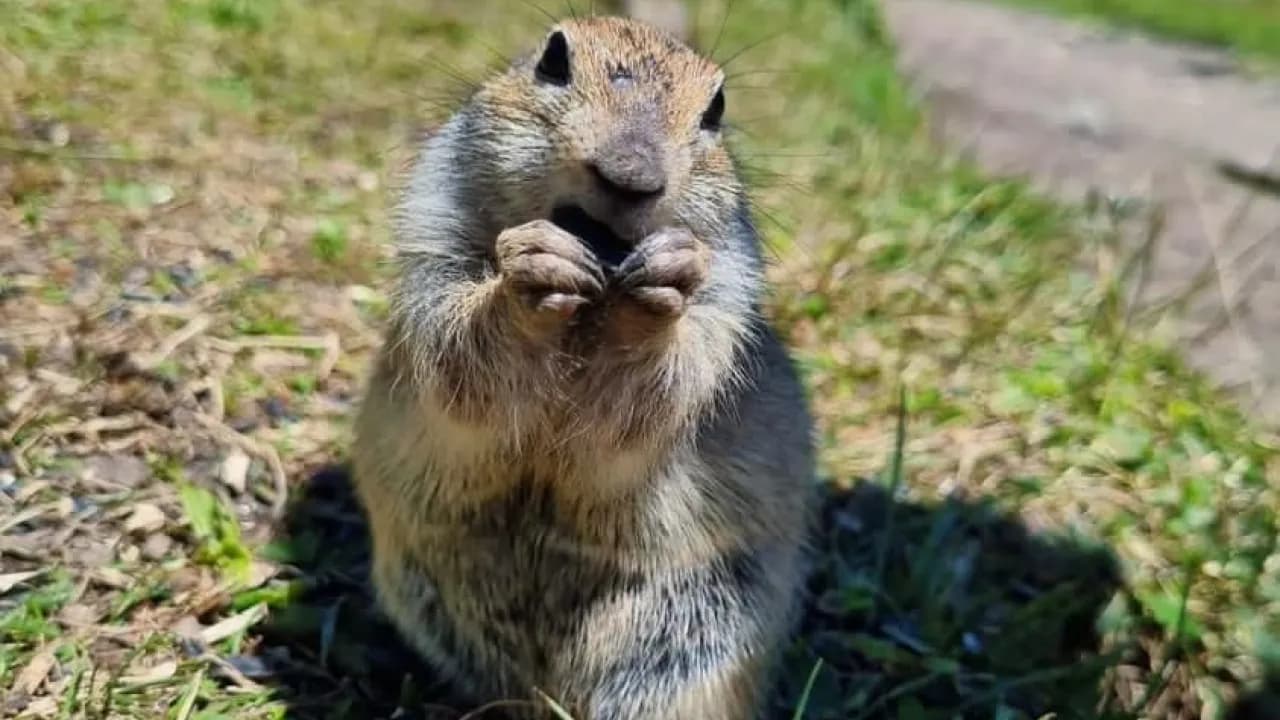 Изображение услуги9