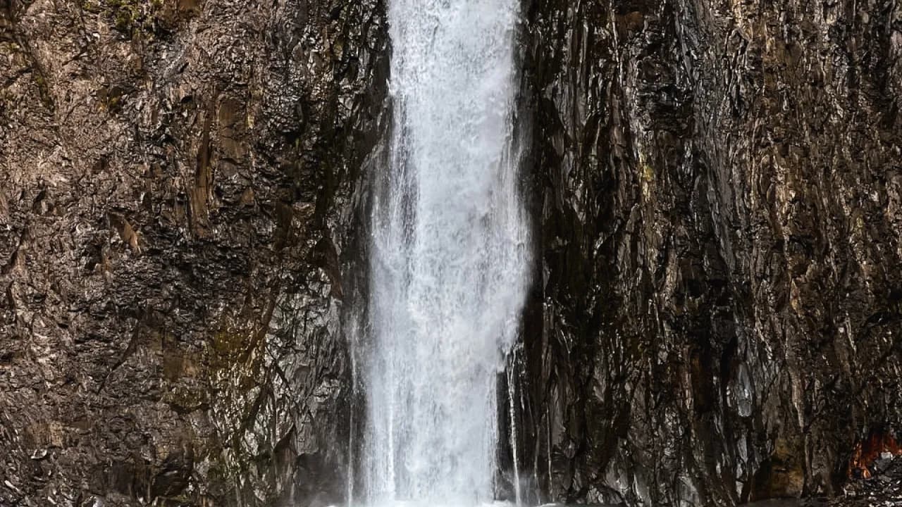 Изображение услуги14