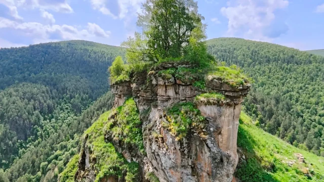 Изображение услуги15