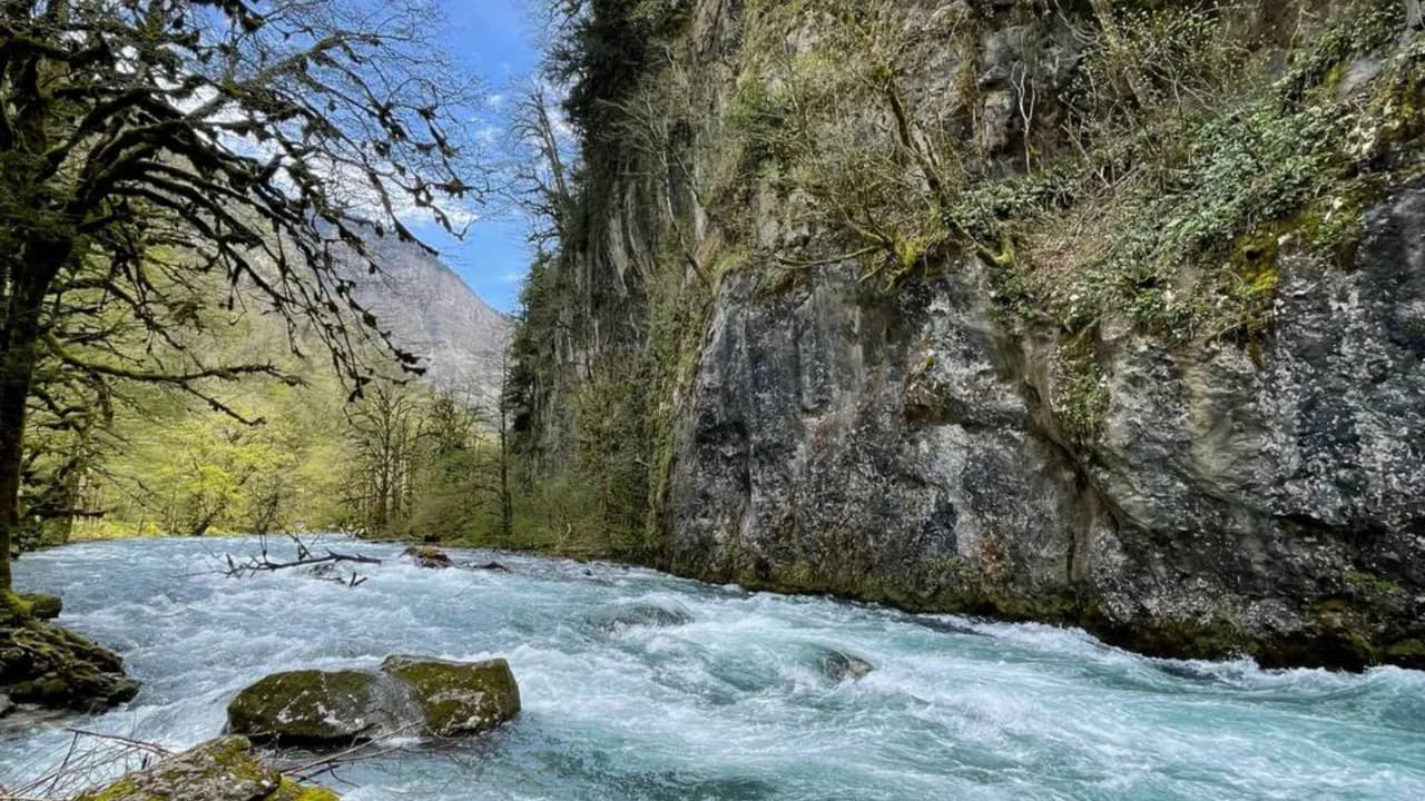 Изображение услуги4