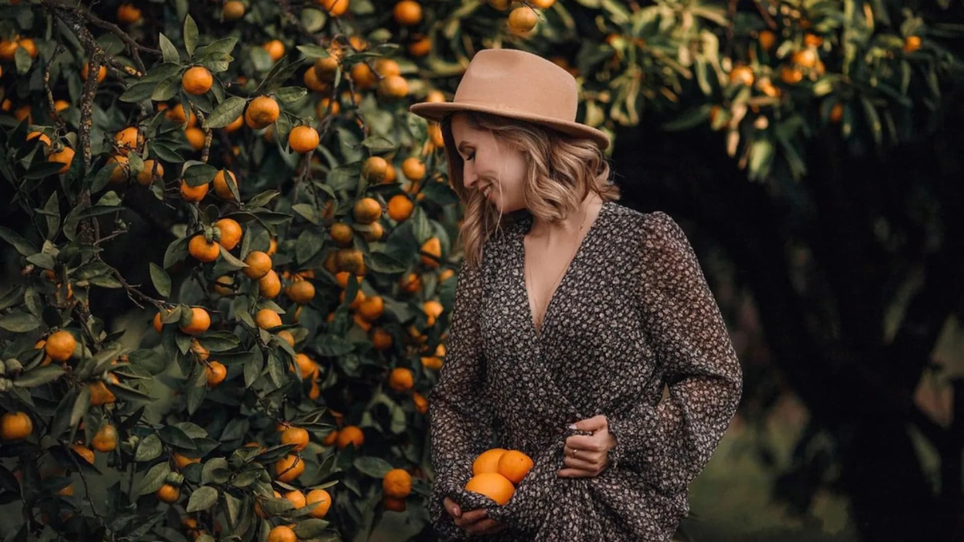 Изображение услуги0