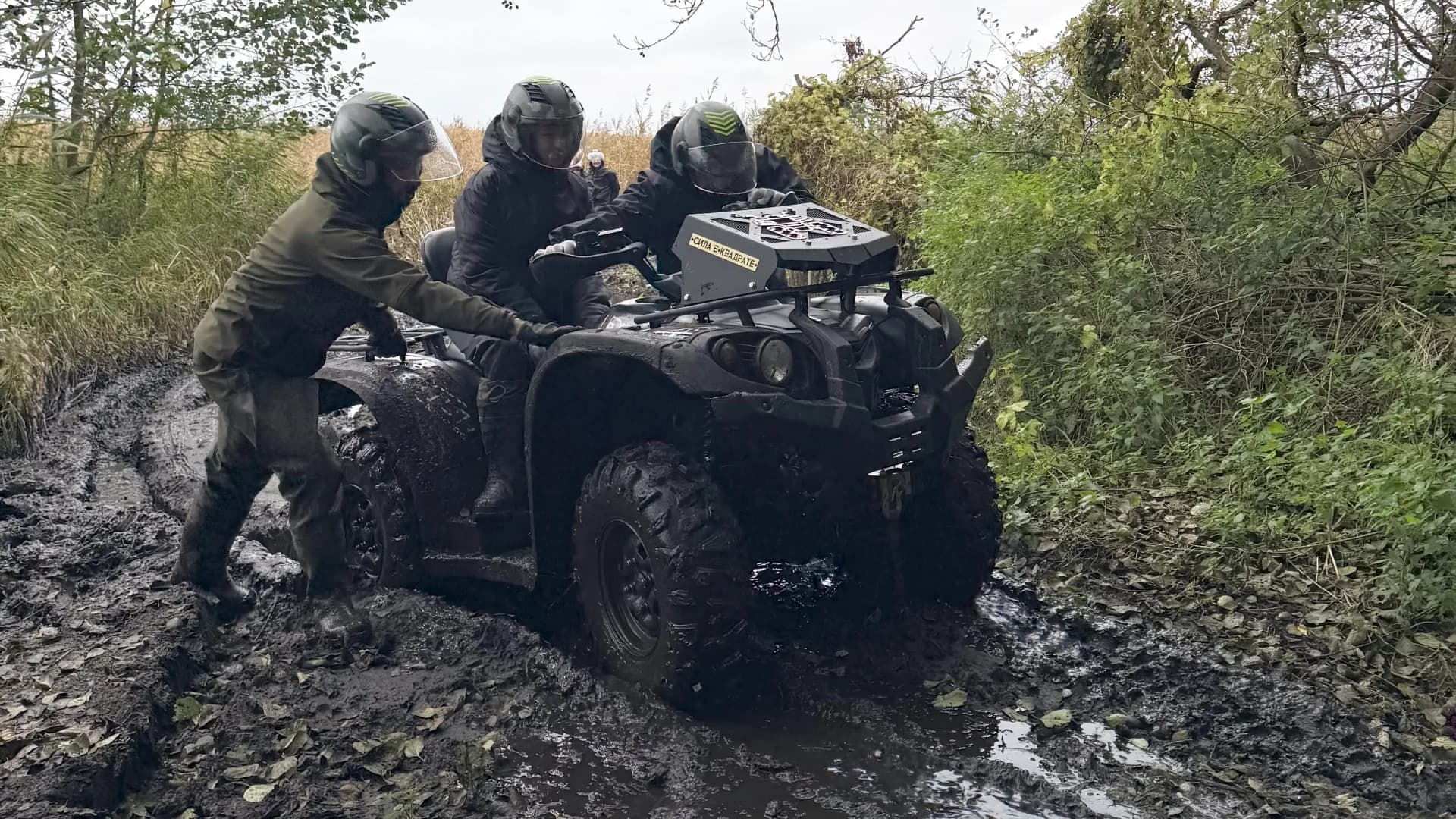 Изображение услуги11