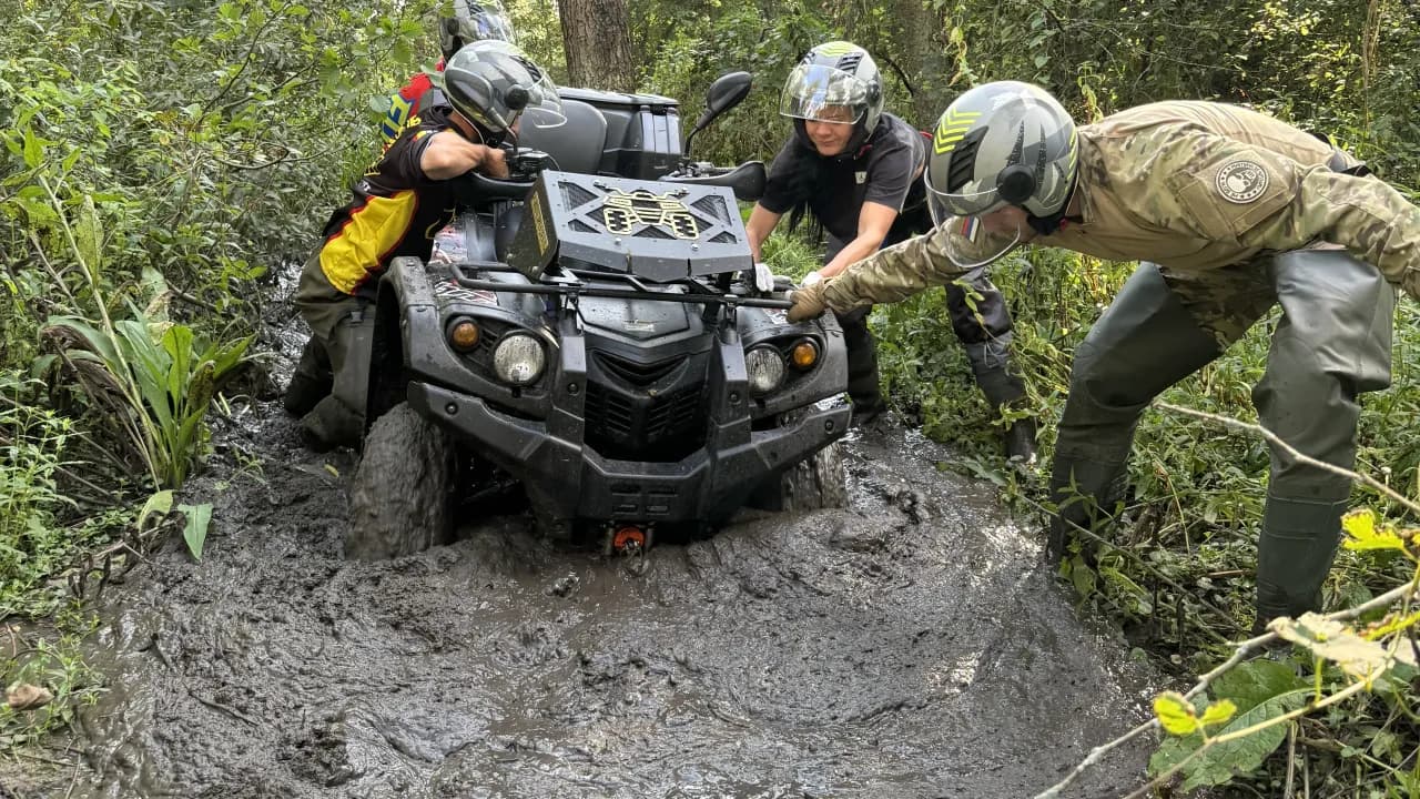 Изображение услуги15