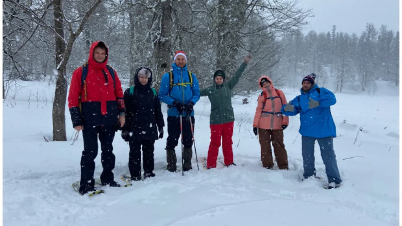 Изображение услуги2