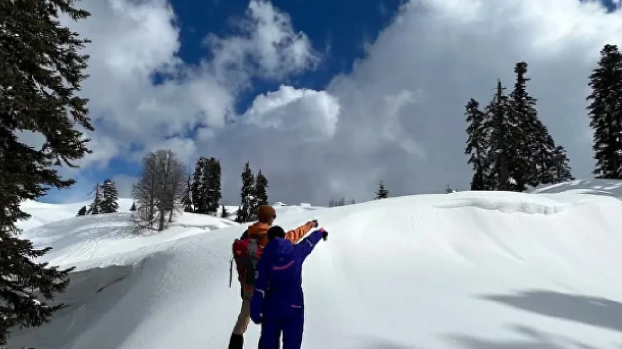 Изображение услуги6