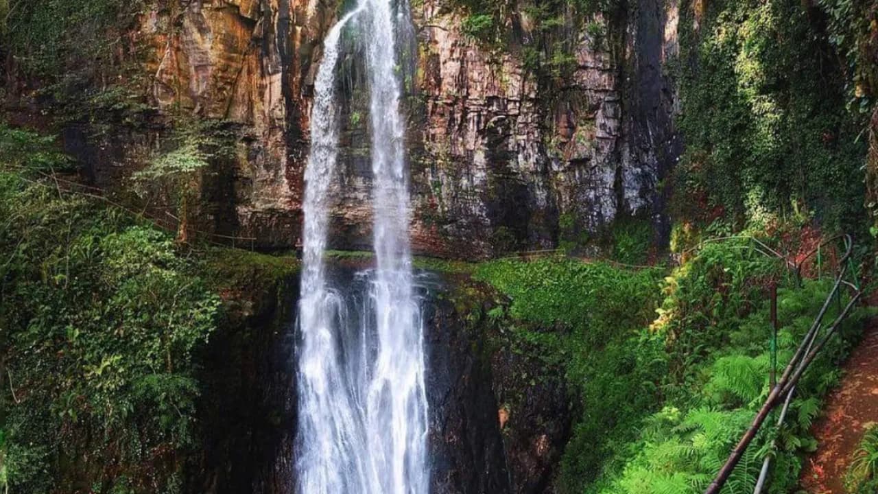 Изображение услуги6