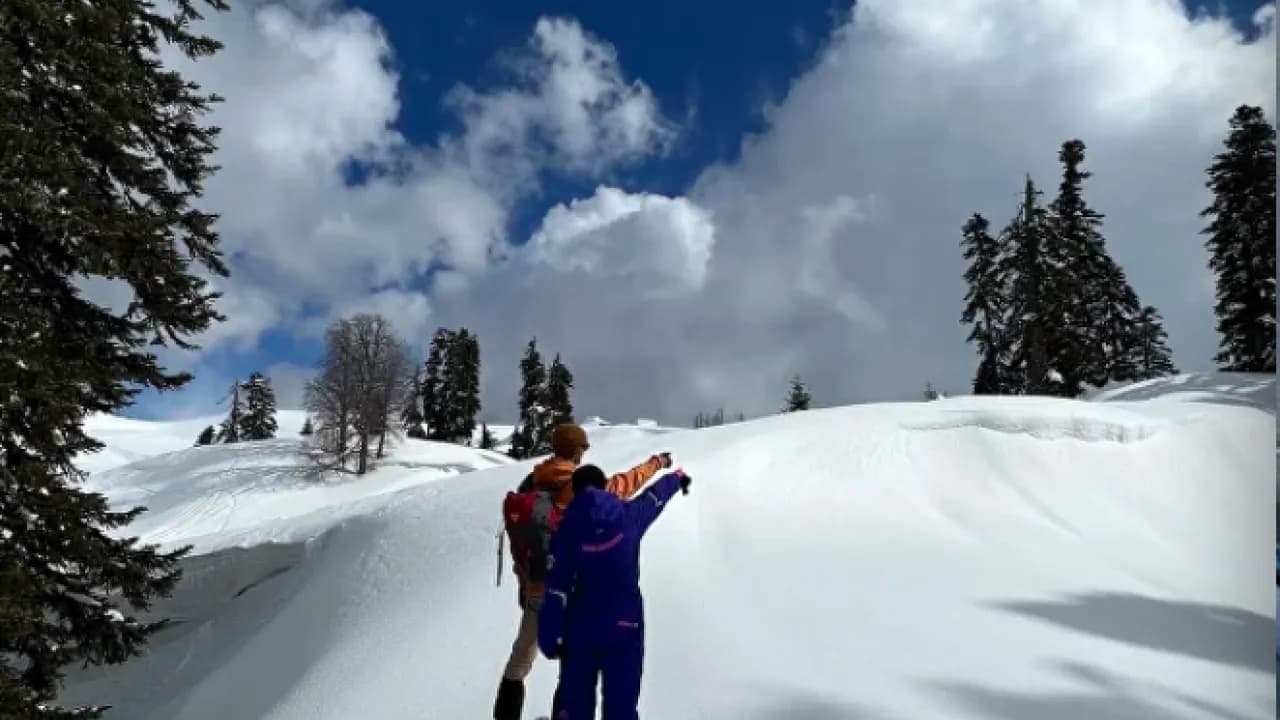 Изображение услуги3