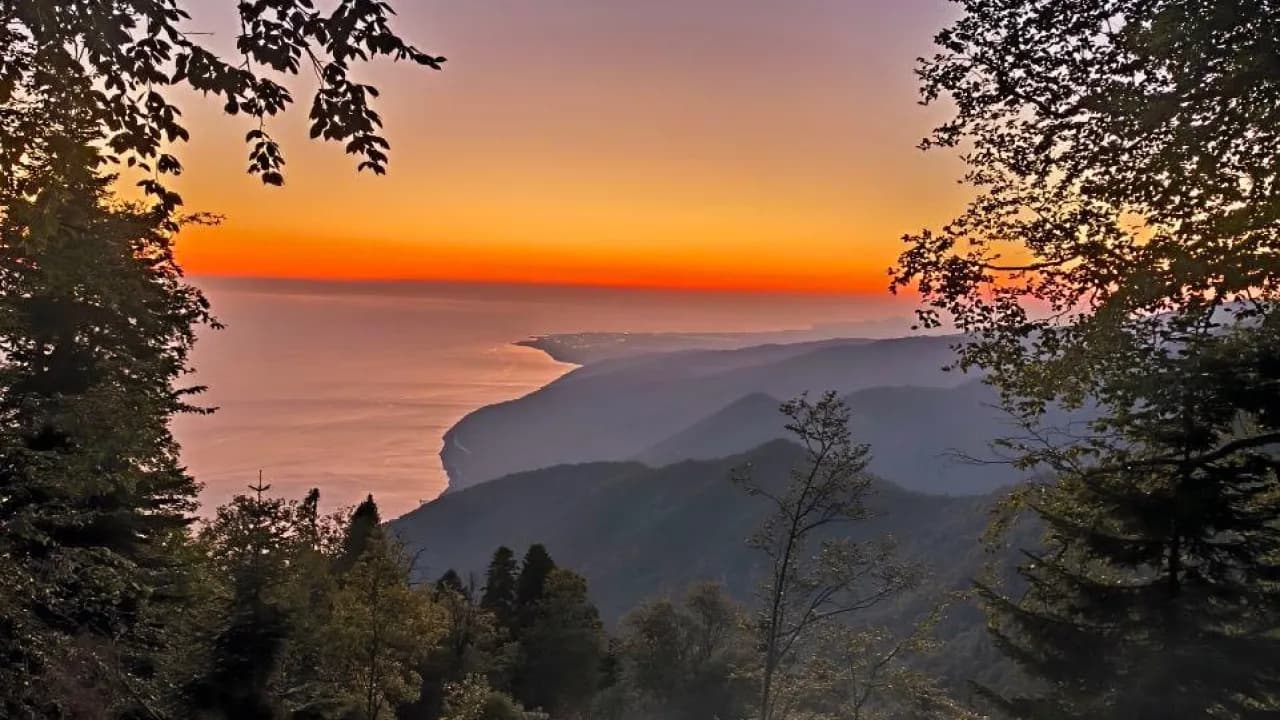 Изображение услуги7