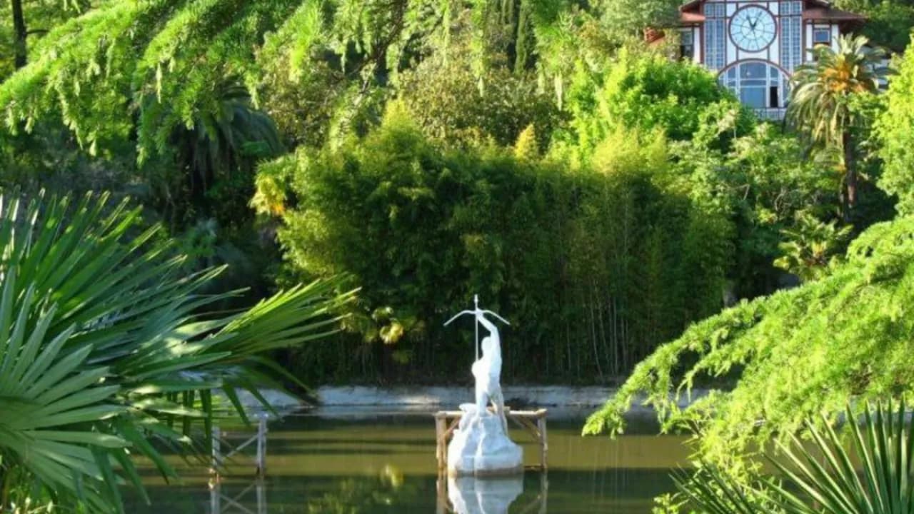 Изображение услуги1