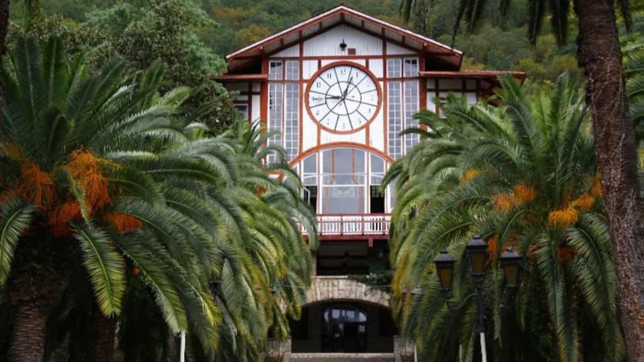 Изображение услуги3