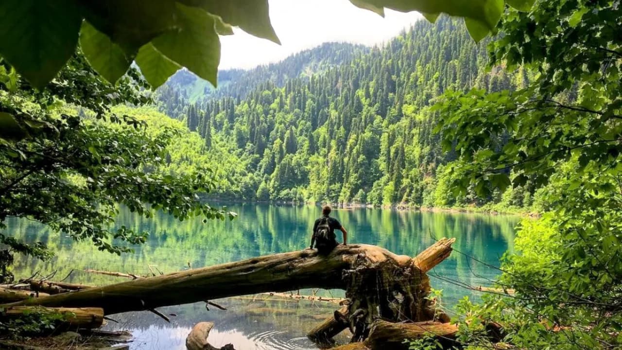 Изображение услуги4