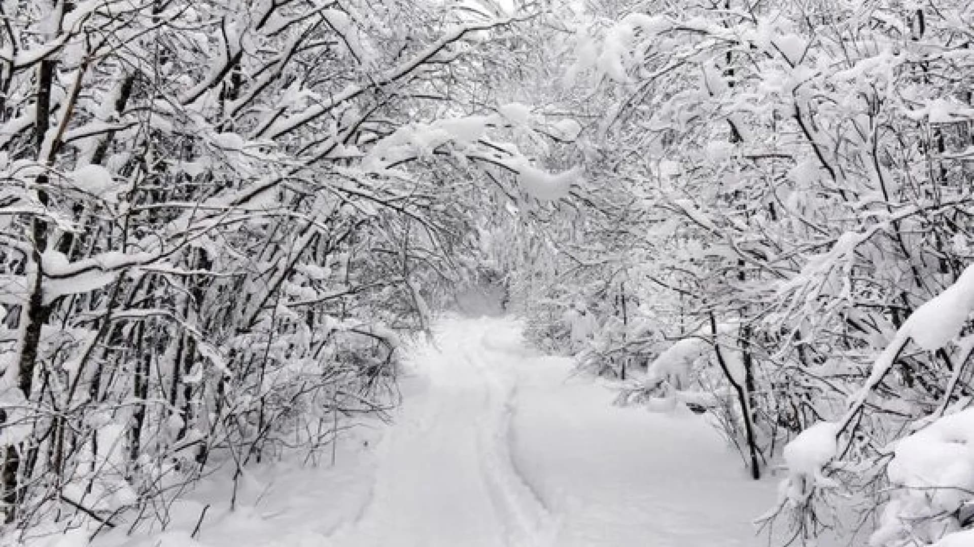 Изображение услуги0