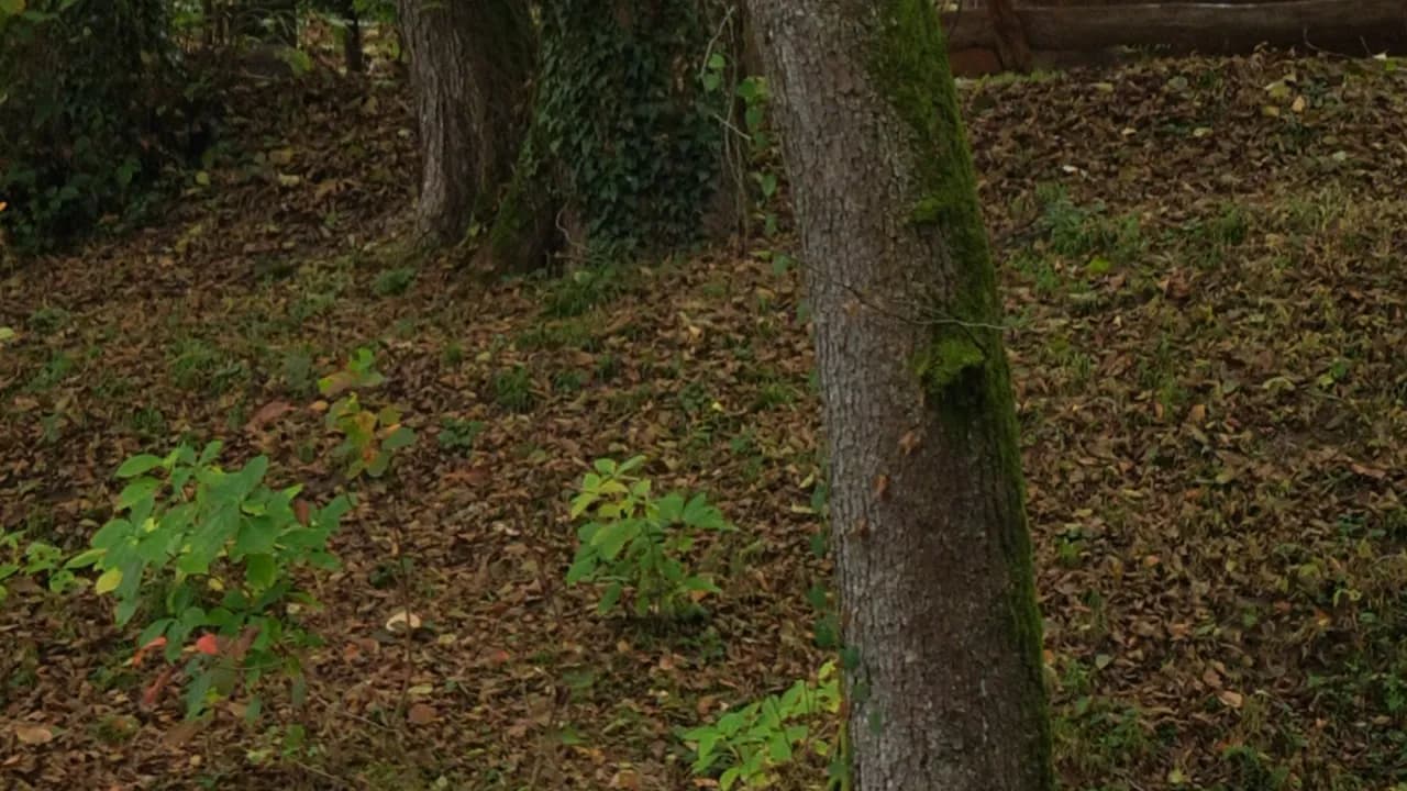 Изображение услуги1