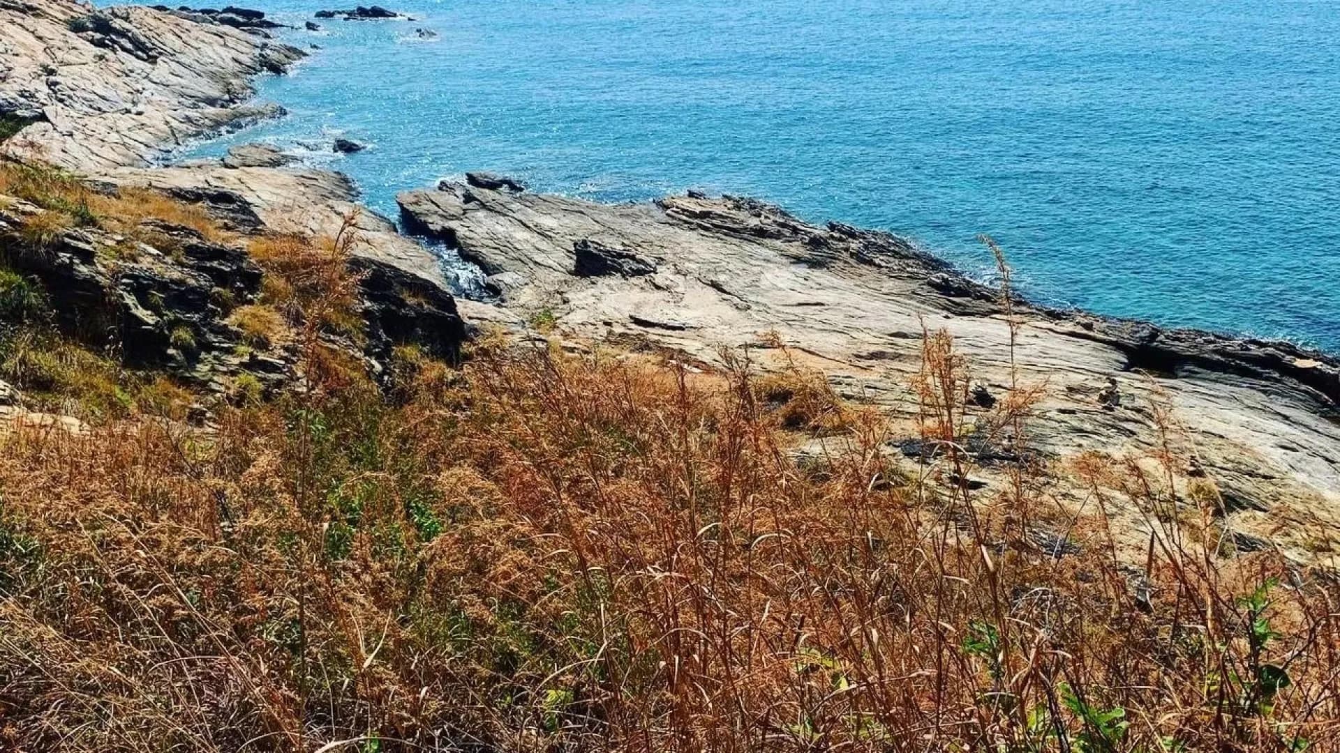 Изображение услуги7