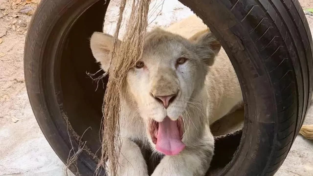 Изображение услуги1