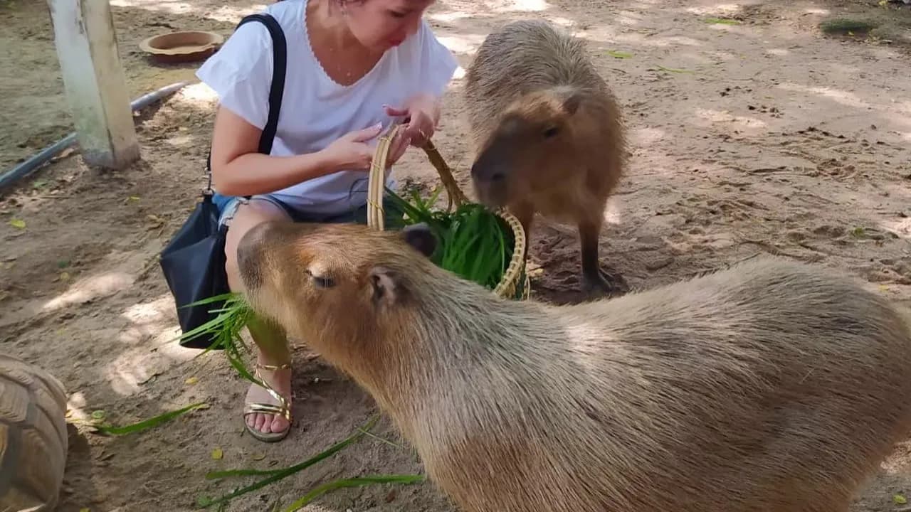 Изображение услуги7