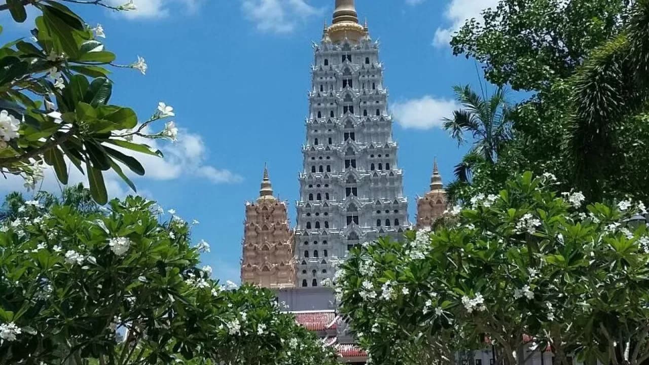 Изображение услуги8