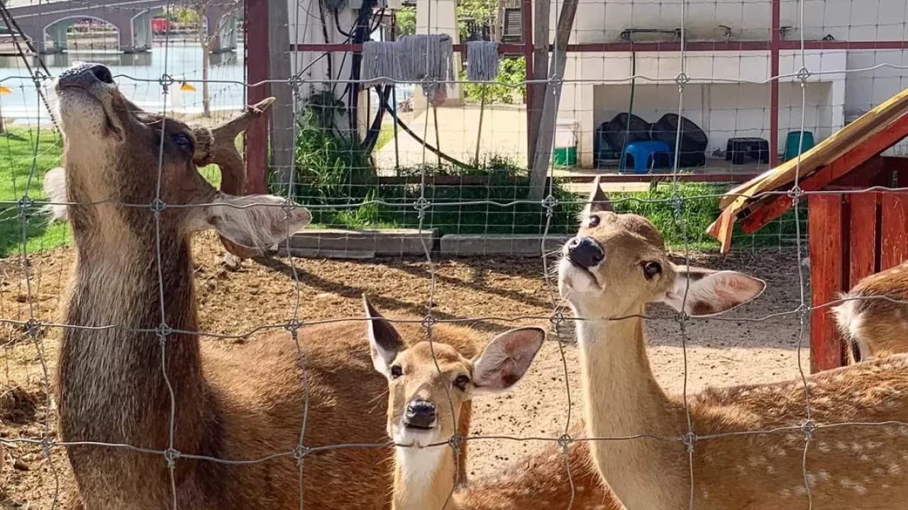 Изображение услуги2