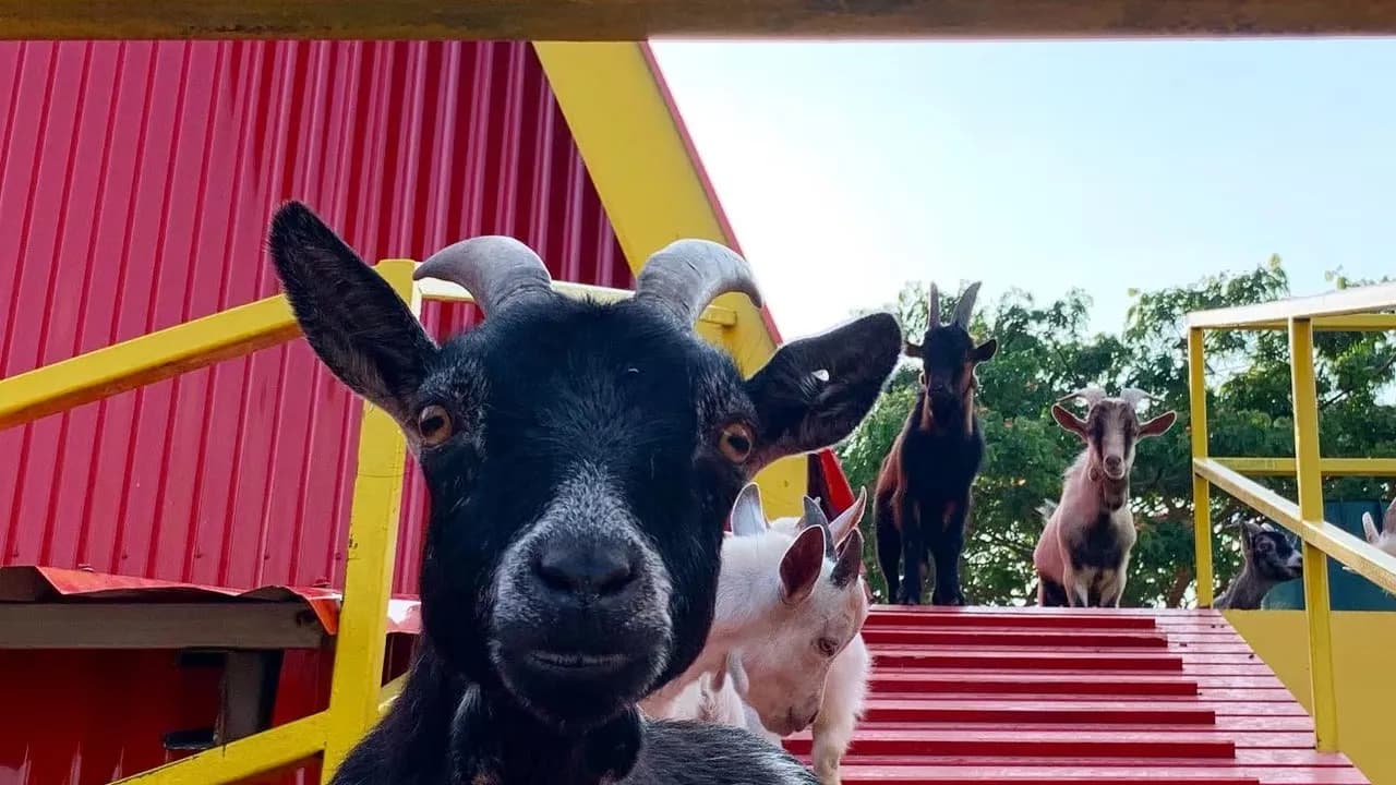 Изображение услуги7