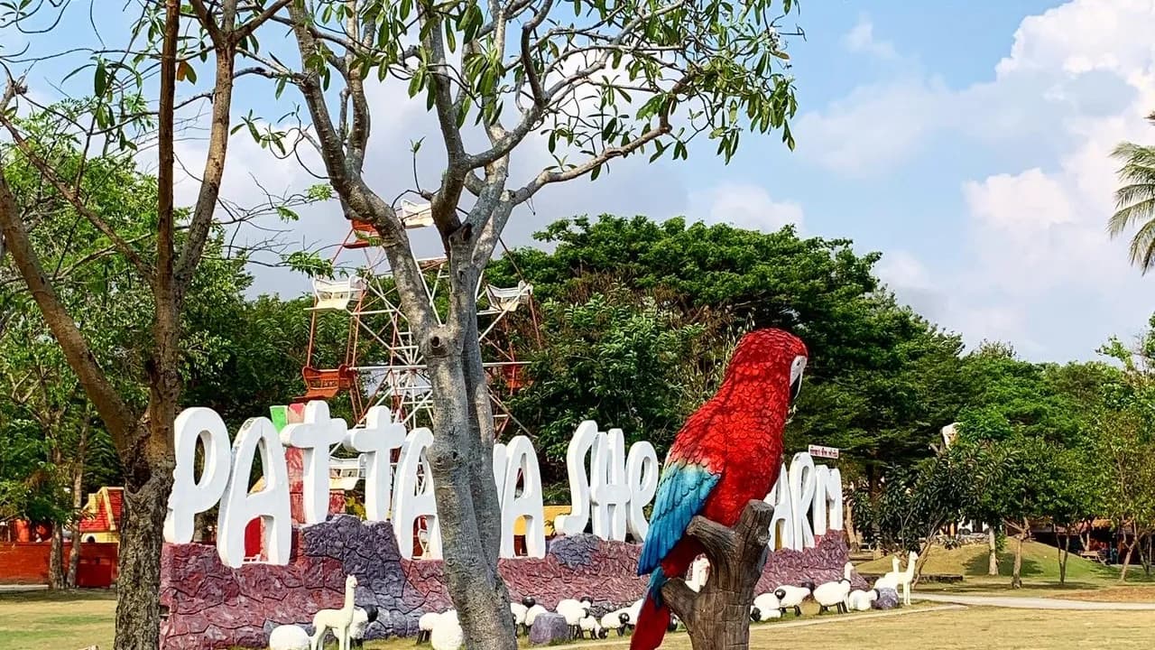 Изображение услуги8