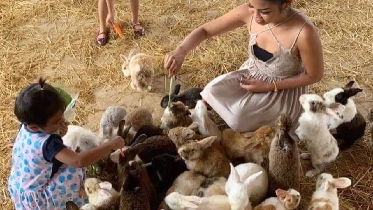 Изображение услуги9