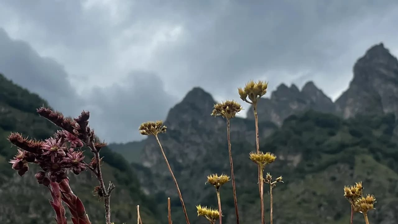 Изображение услуги12