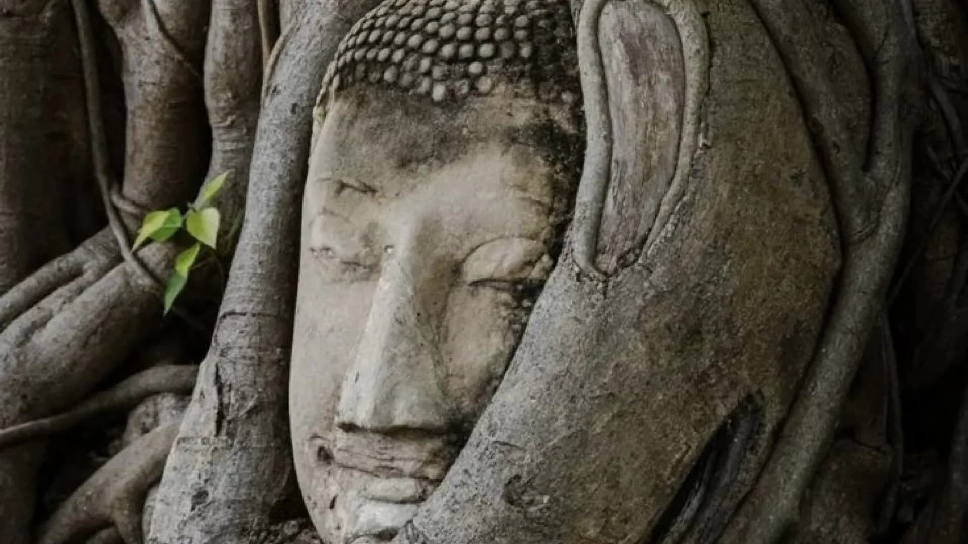 Изображение услуги4