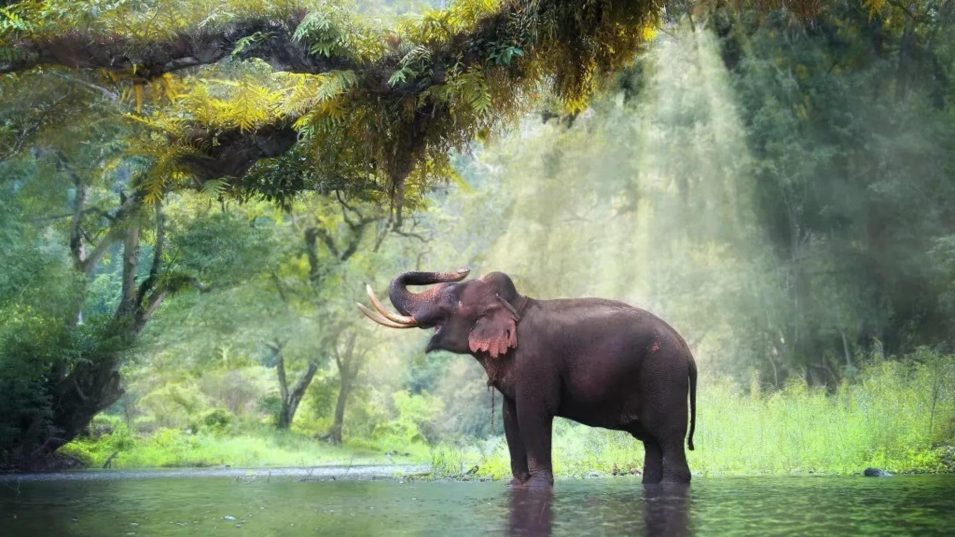 Изображение услуги0