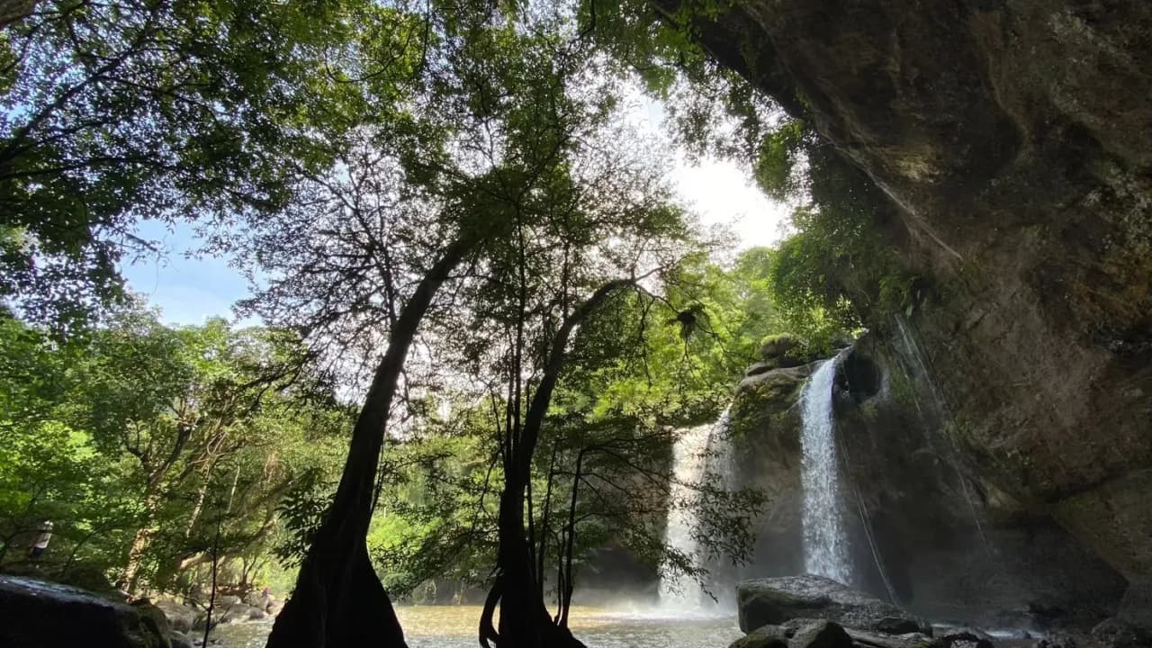 Изображение услуги2