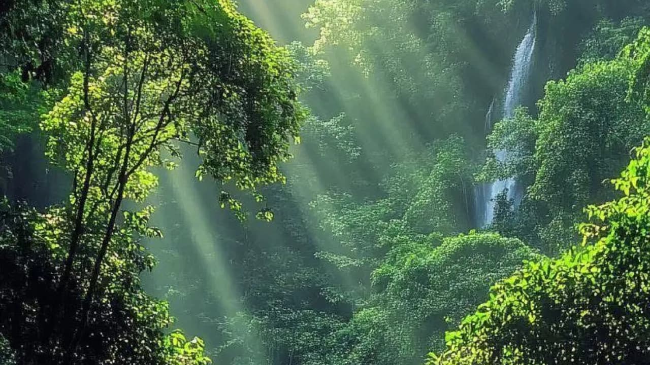 Изображение услуги6