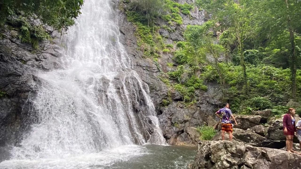 Изображение услуги7