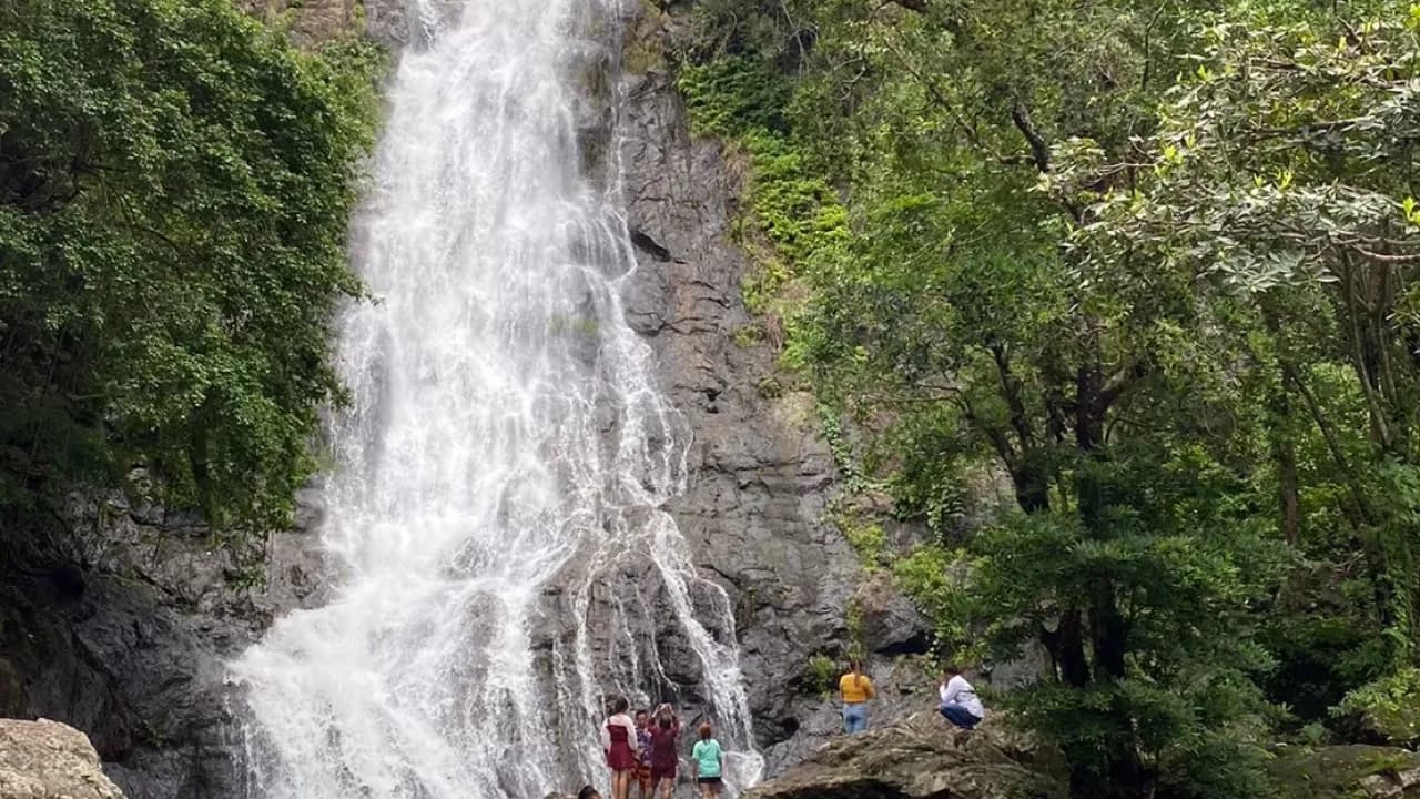 Изображение услуги10