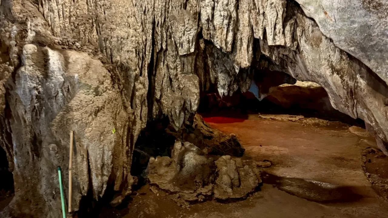 Изображение услуги3