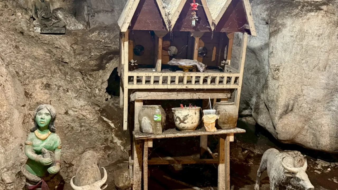 Изображение услуги7