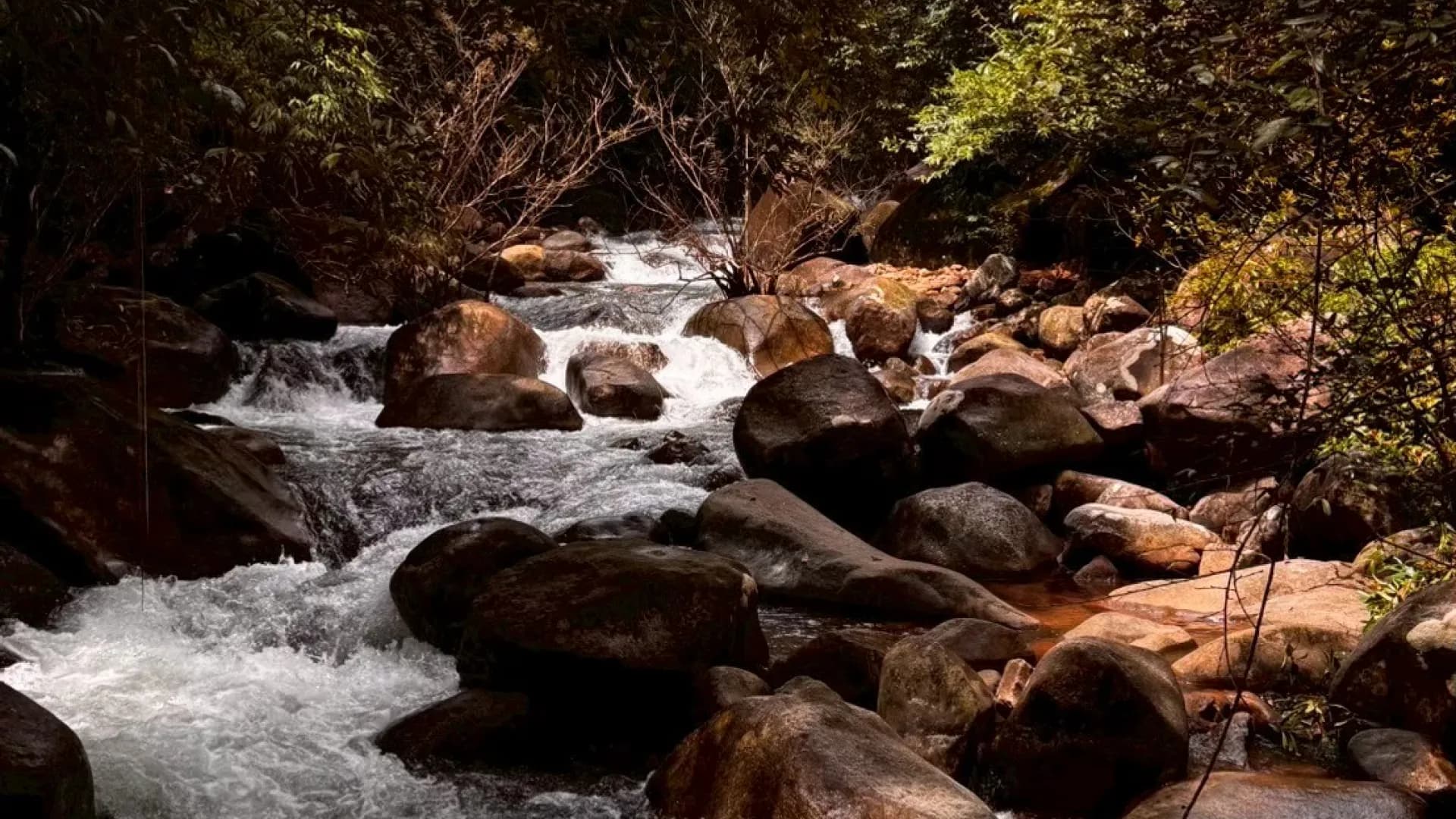 Изображение услуги0