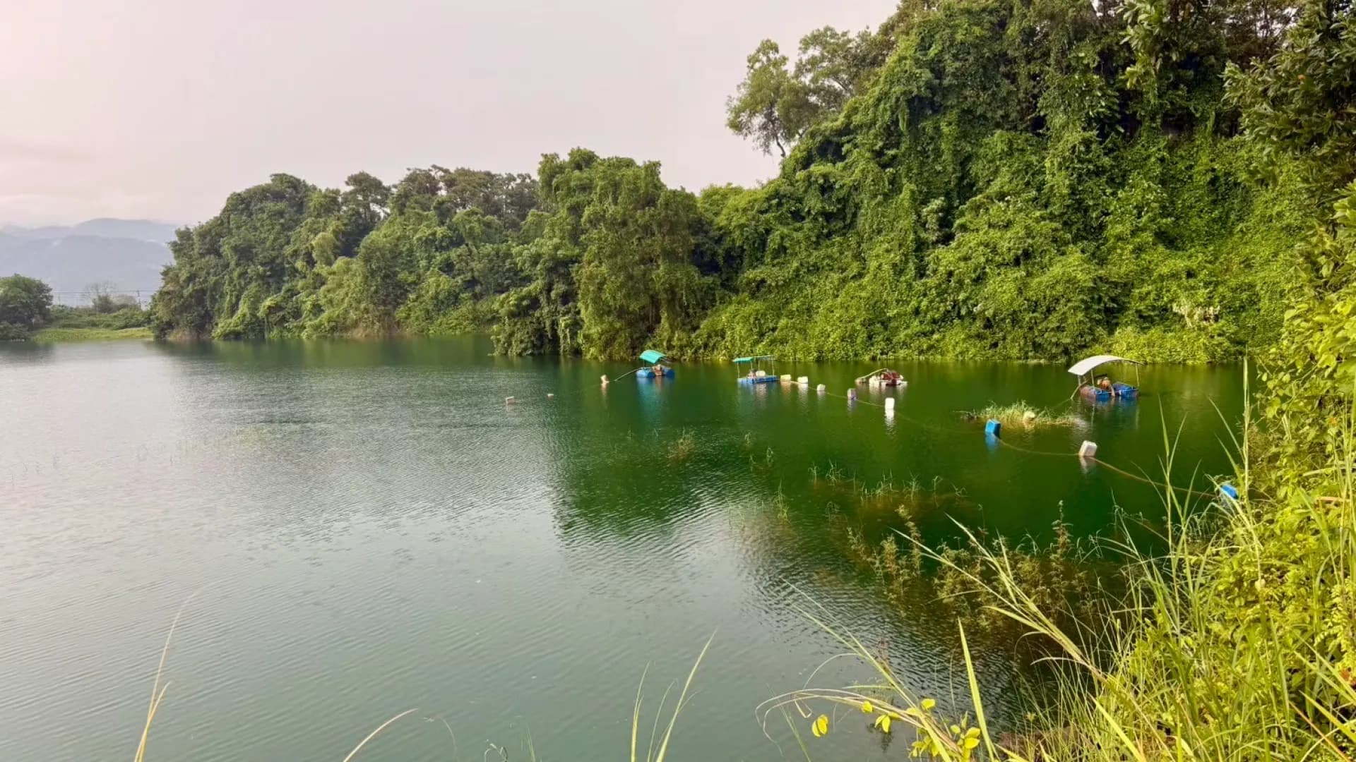 Изображение услуги2