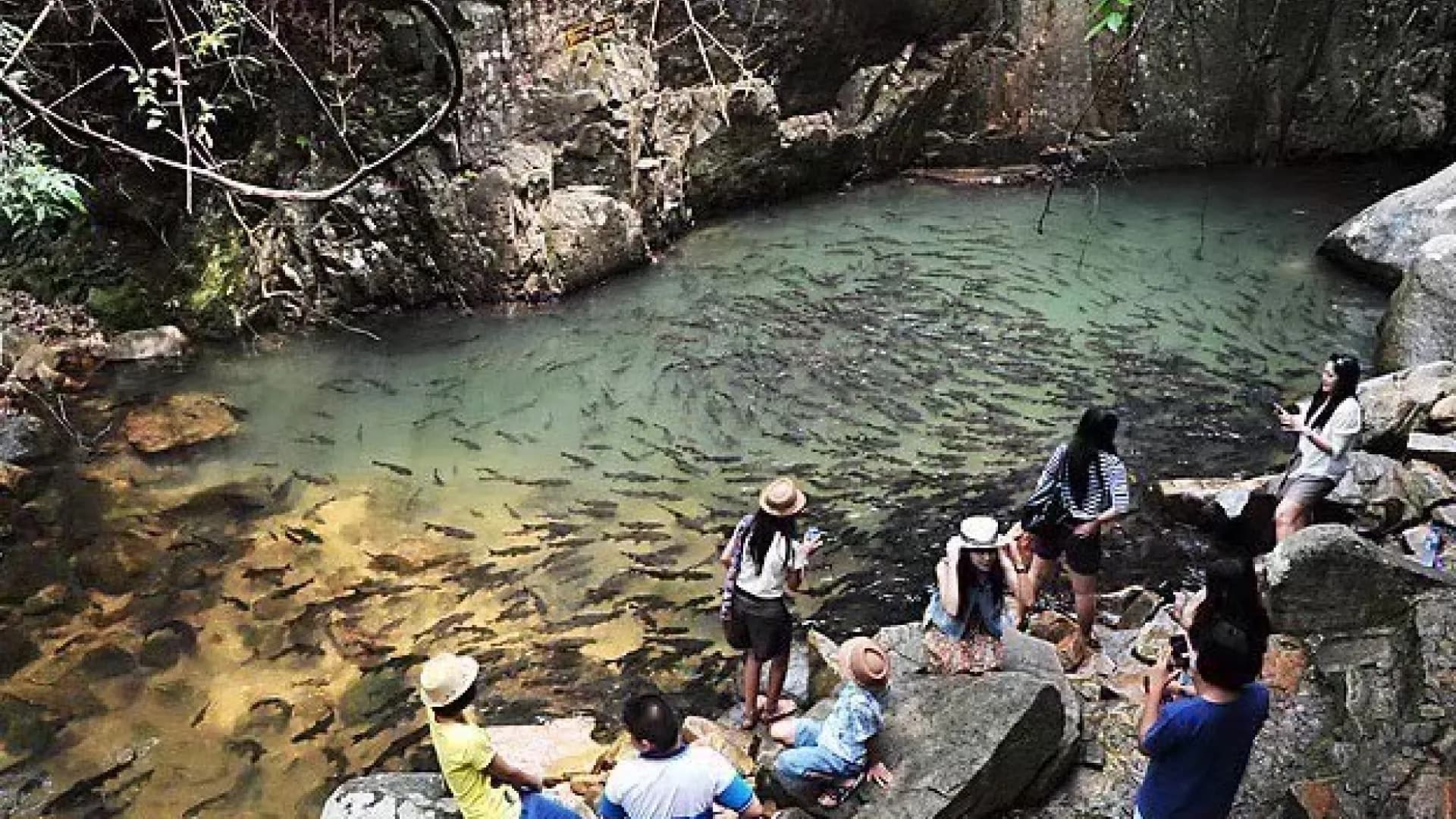 Изображение услуги12