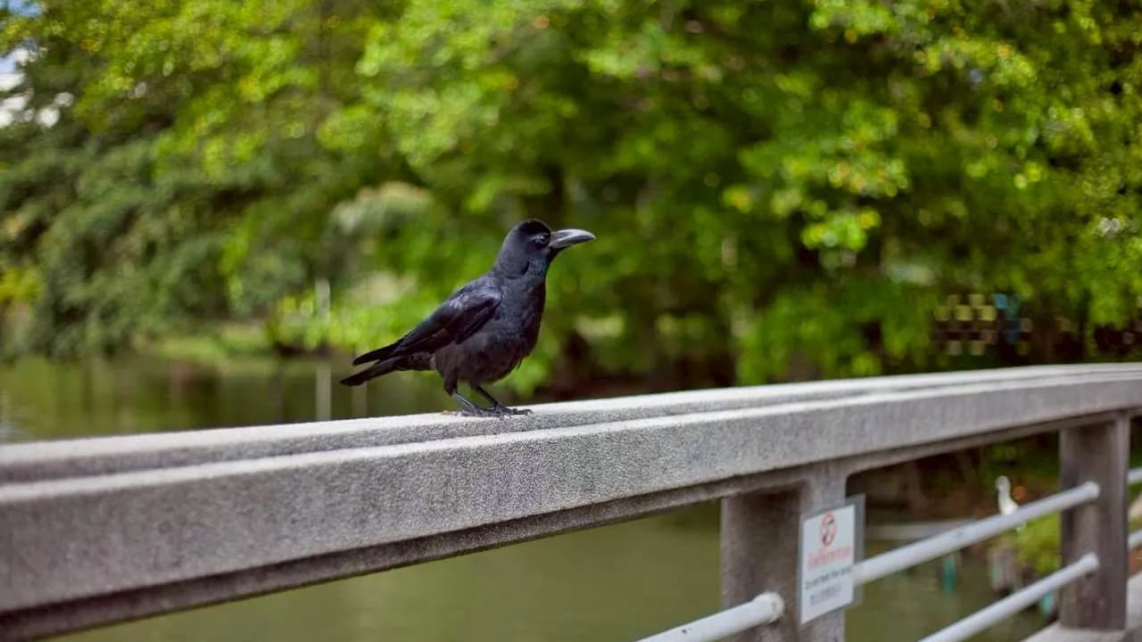 Изображение услуги6