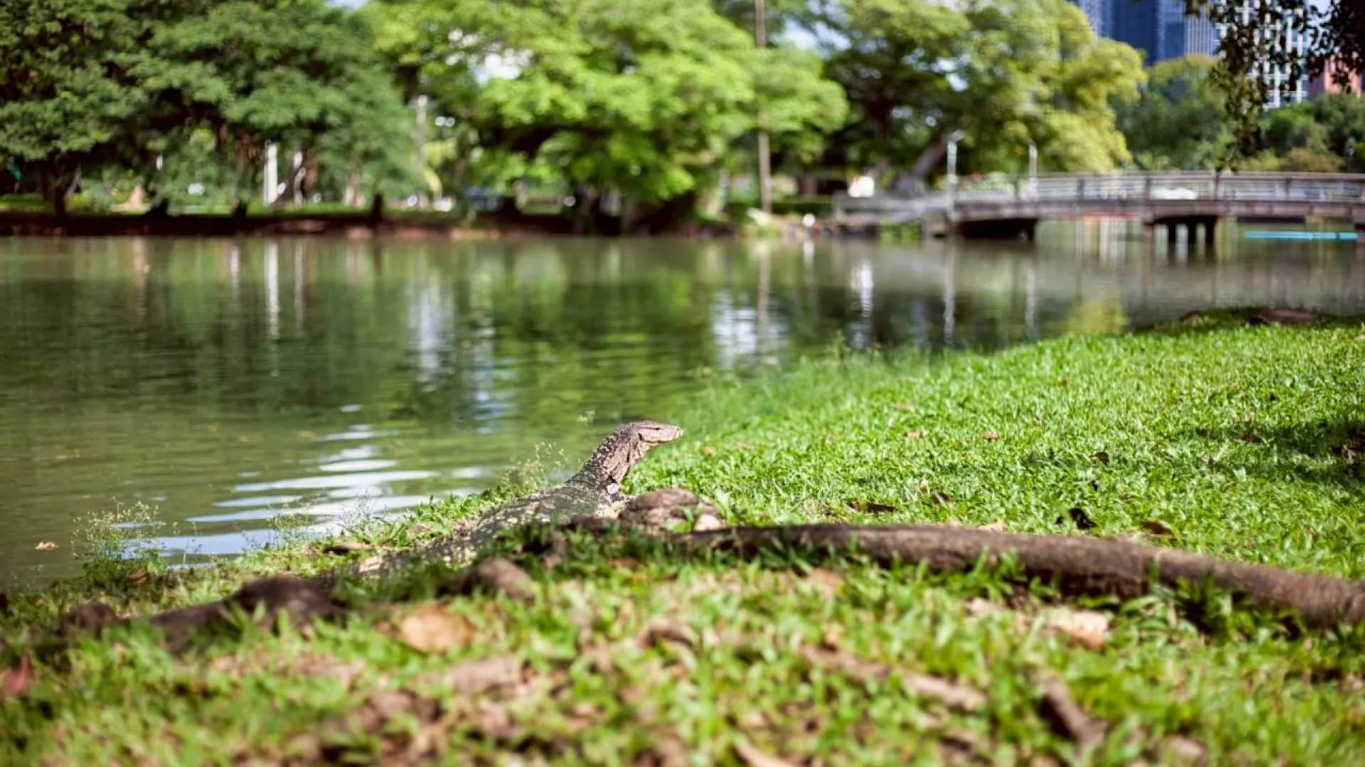 Изображение услуги11